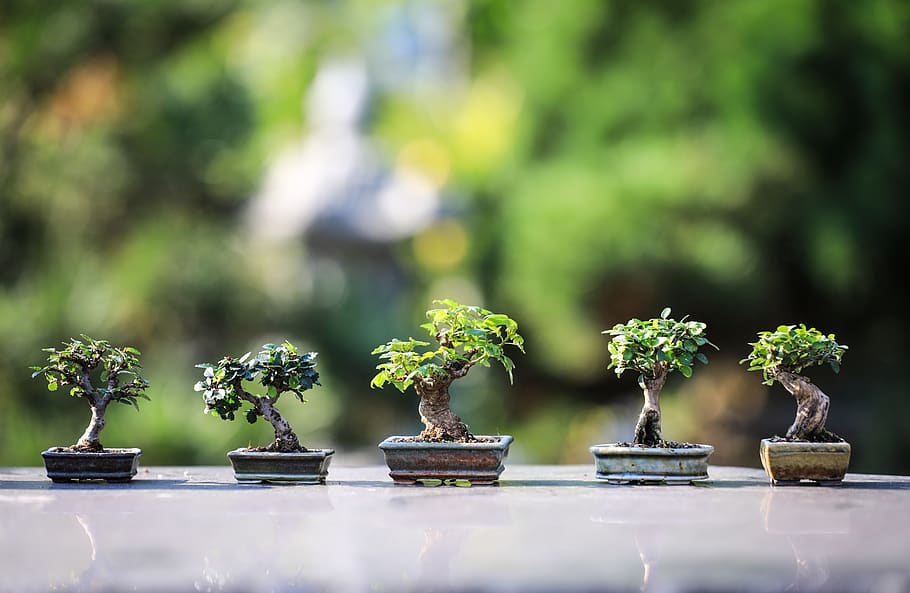 Tidymodels: Decision Tree Learning in R | Brendan Cullen